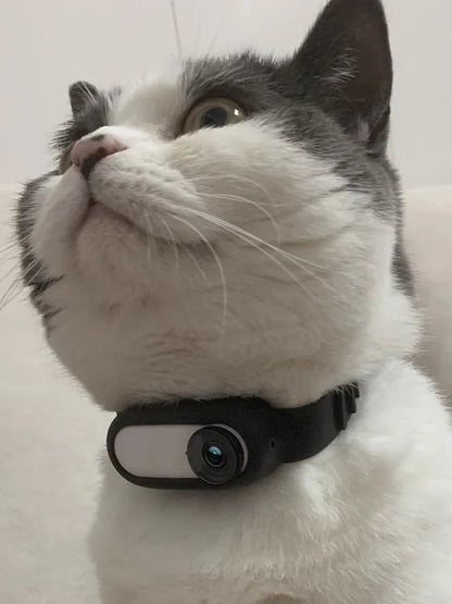 Wireless Pet Collar Camera for Cats and Dogs Northa